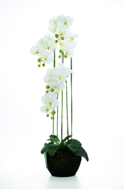 Fink Kunstblume Orchidee weiß online kaufen Missforty.de
